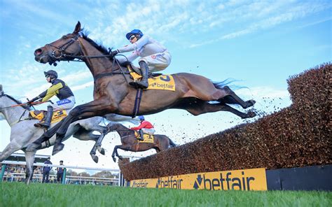 my racing tips twitter